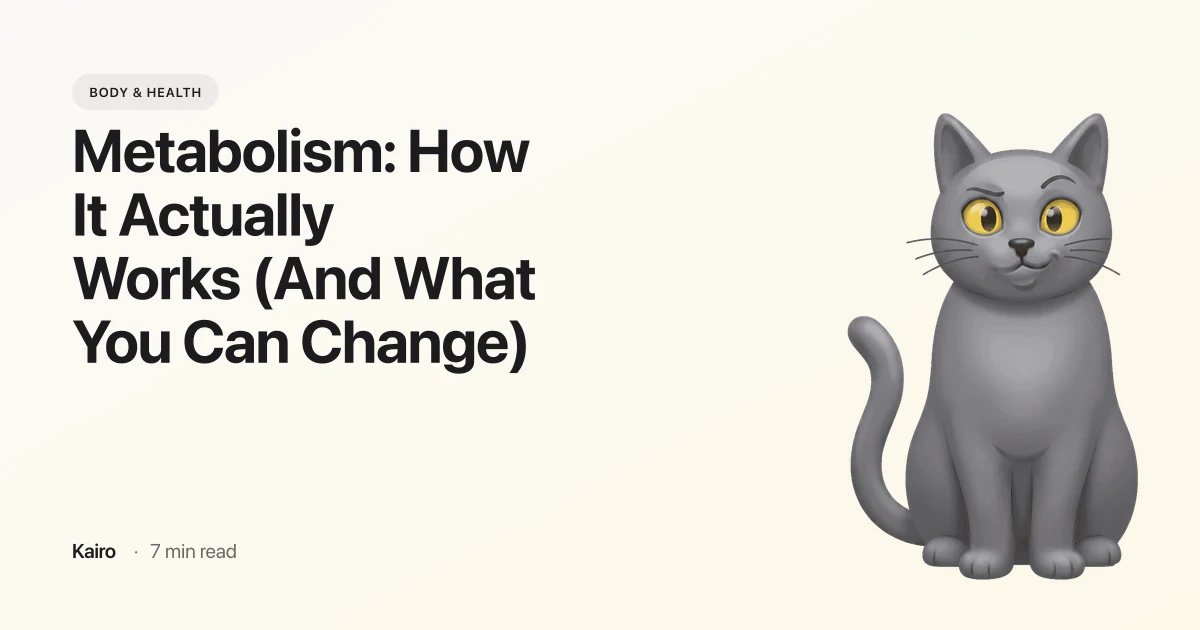 Metabolism: How It Actually Works (And What You Can Change)