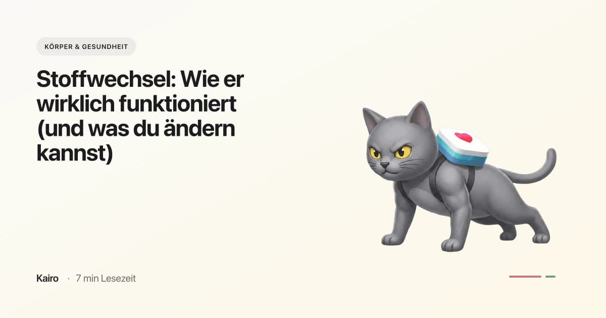 Stoffwechsel: Wie er wirklich funktioniert (und was du ändern kannst)