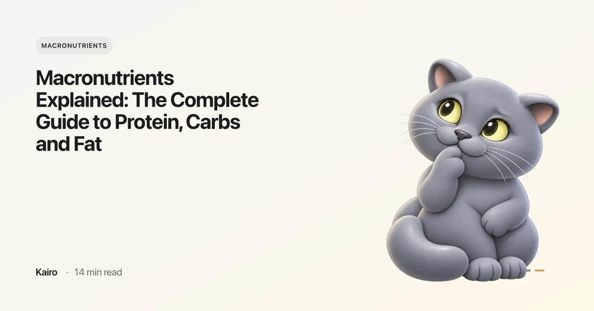 Macronutrients Explained: The Complete Guide to Protein, Carbs and Fat