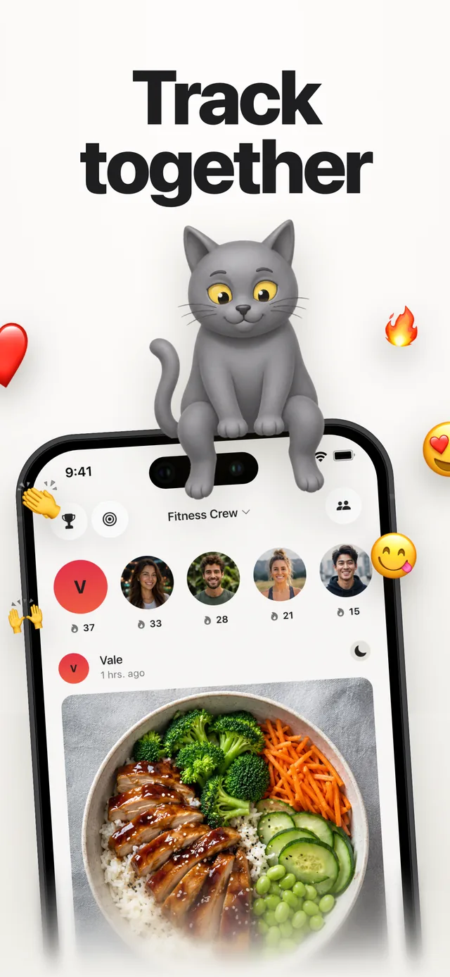 Kairo group feed with shared meals and emoji reactions