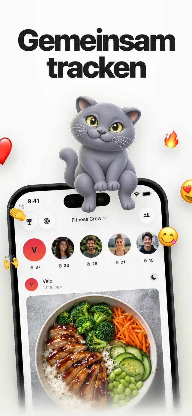Kairo Gruppen-Feed mit geteilten Mahlzeiten und Emoji-Reaktionen