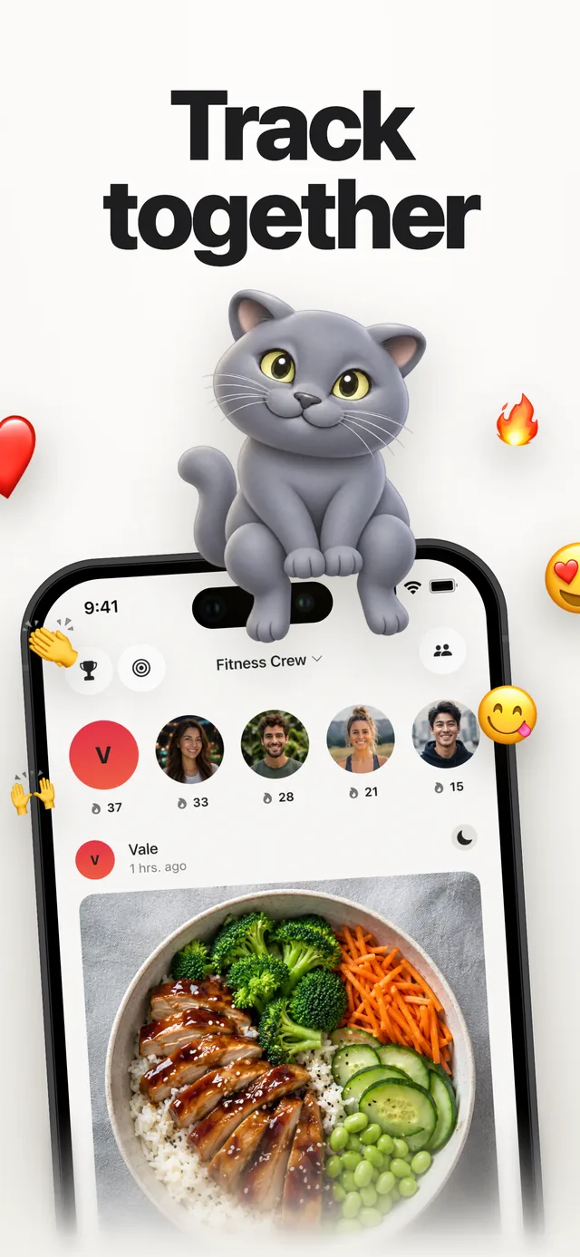 Kairo group feed with shared meals and emoji reactions