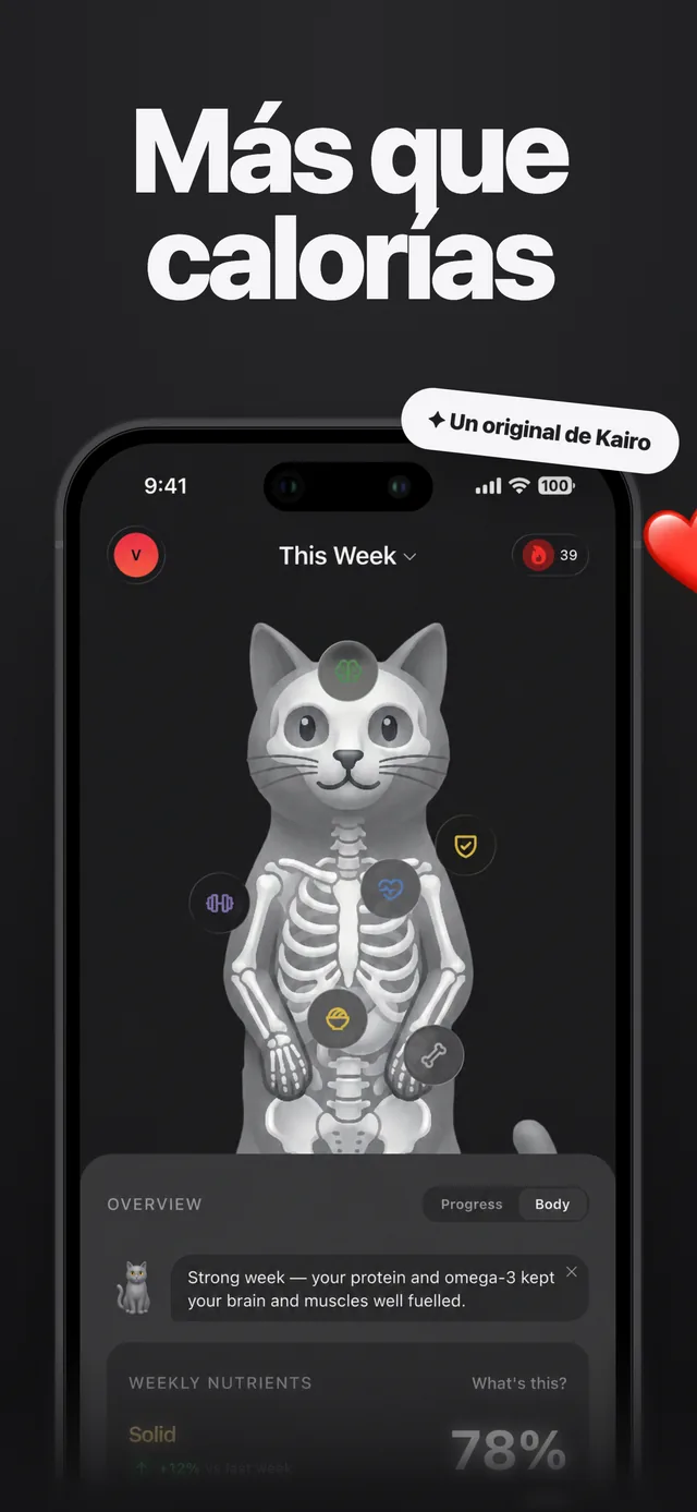 Body Map de Kairo muestra cómo tu alimentación nutre cada sistema del cuerpo
