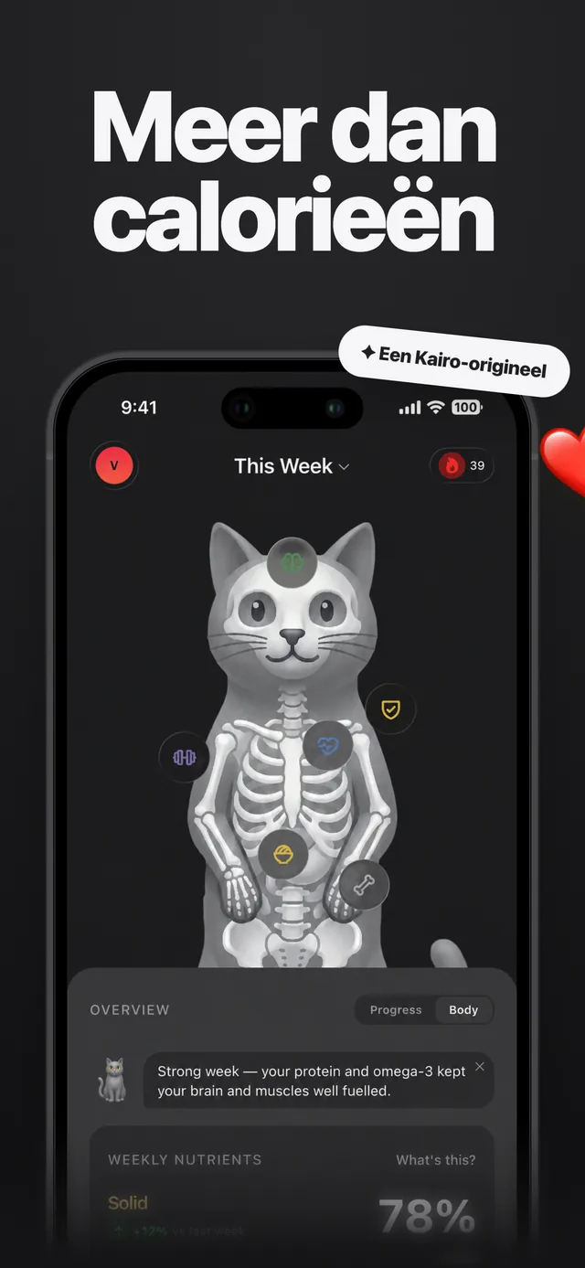 Kairo Body Map laat zien hoe je voeding elk lichaamssysteem ondersteunt